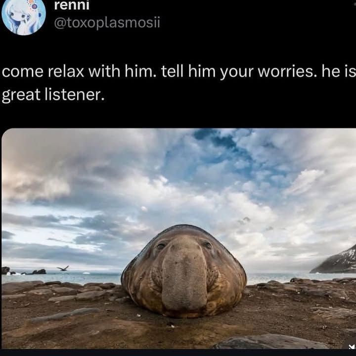 qGZjHtU.jpeg