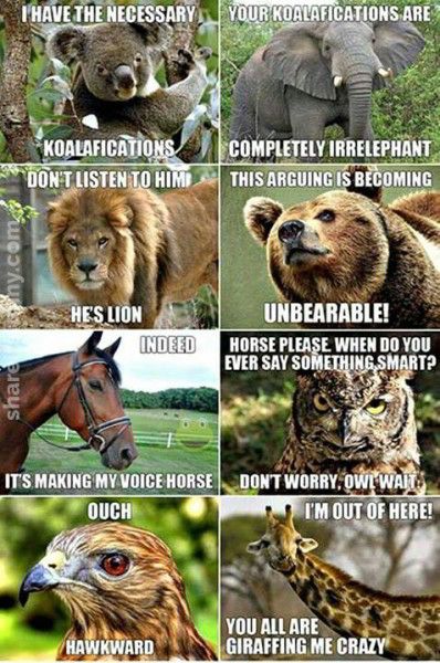 animal-puns.jpg